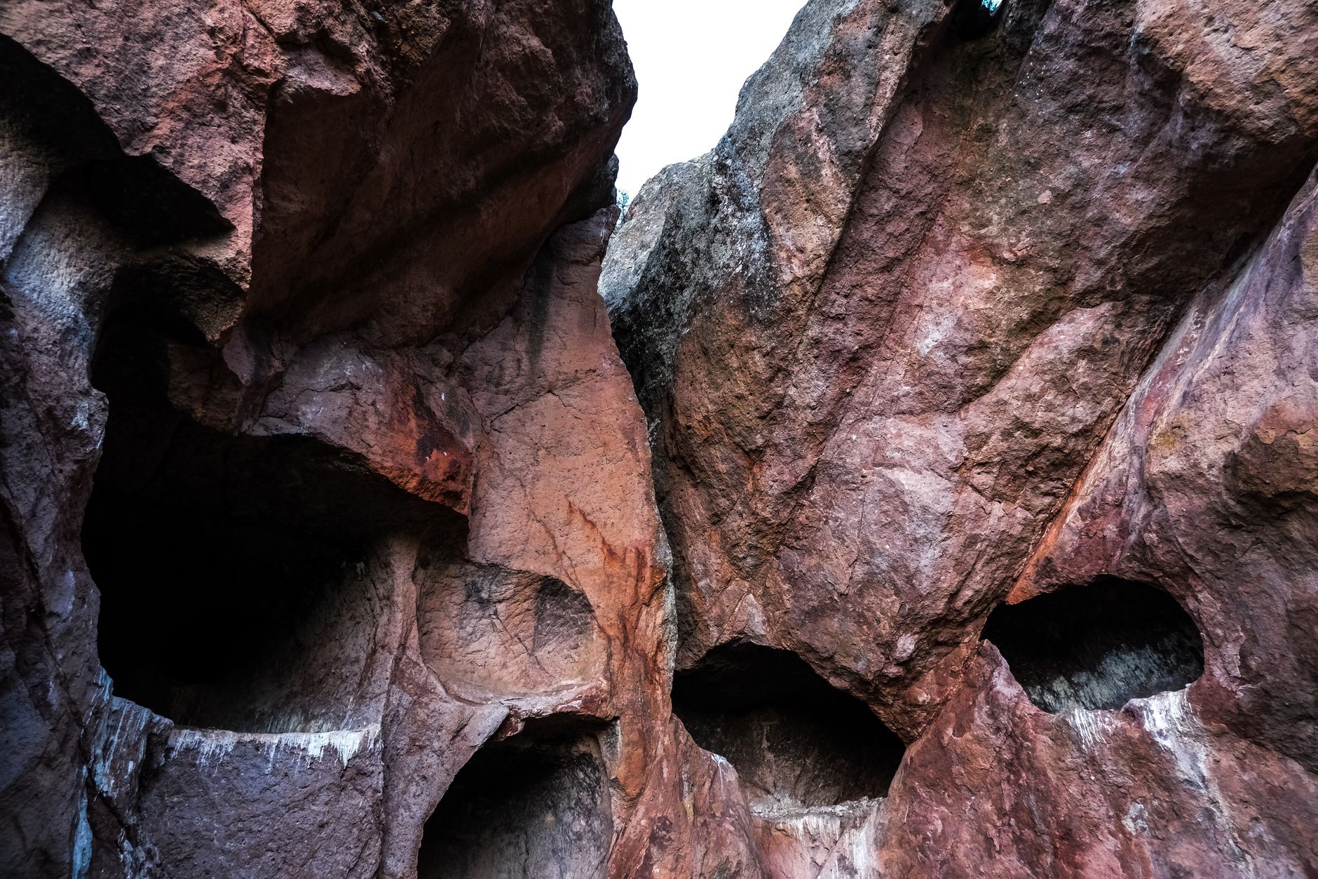 Ancient rock art painted on a sheltered canyon wall depicting animals and human figures