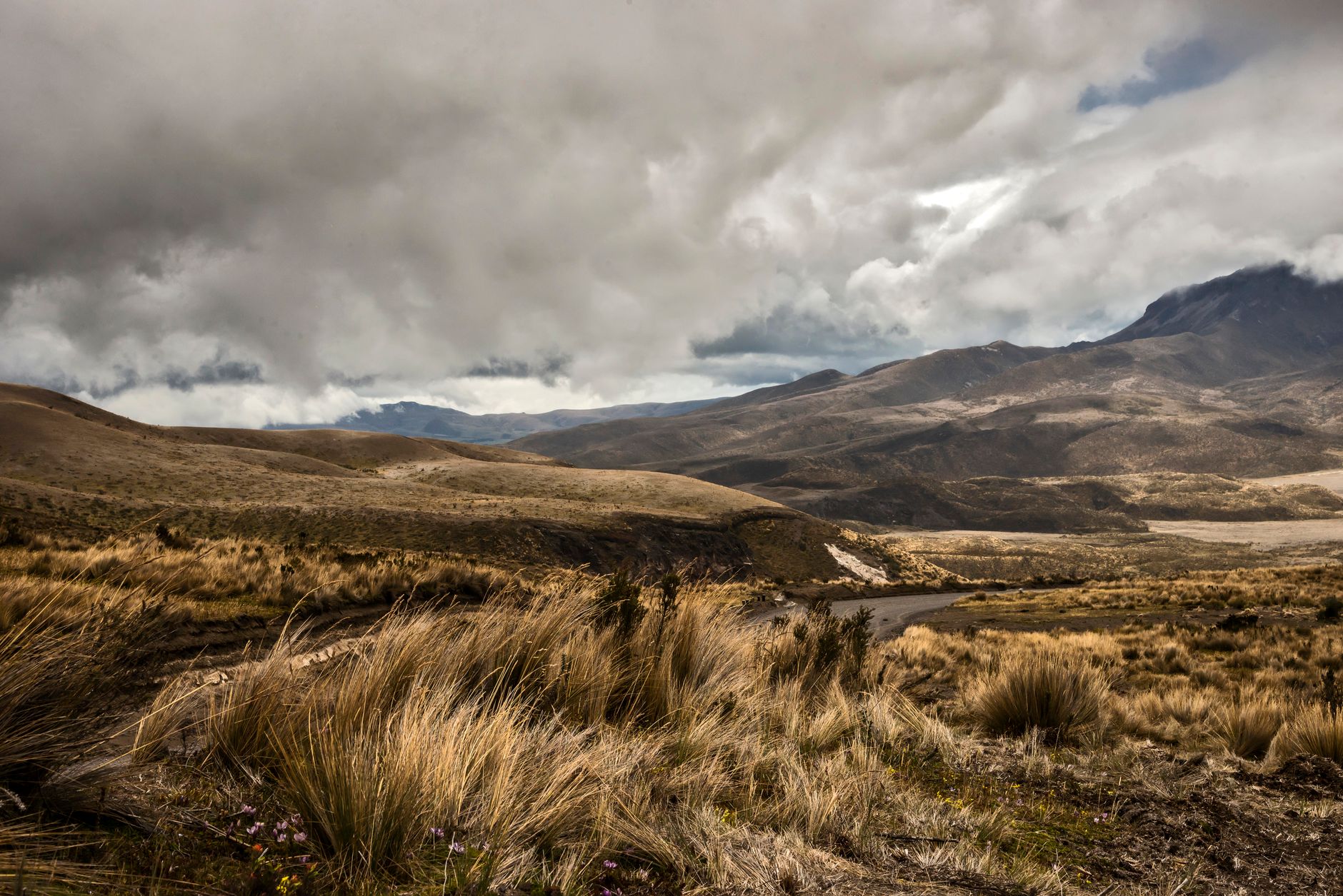 Wide open highland plateau under a dramatic sky with sparse vegetation