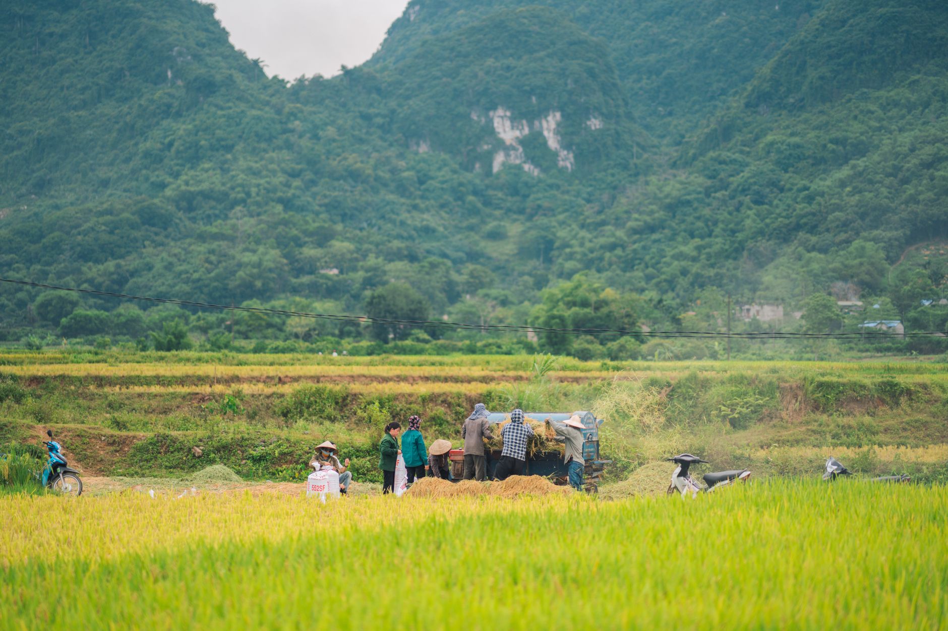 Local villagers gathering harvest in a mountain community setting