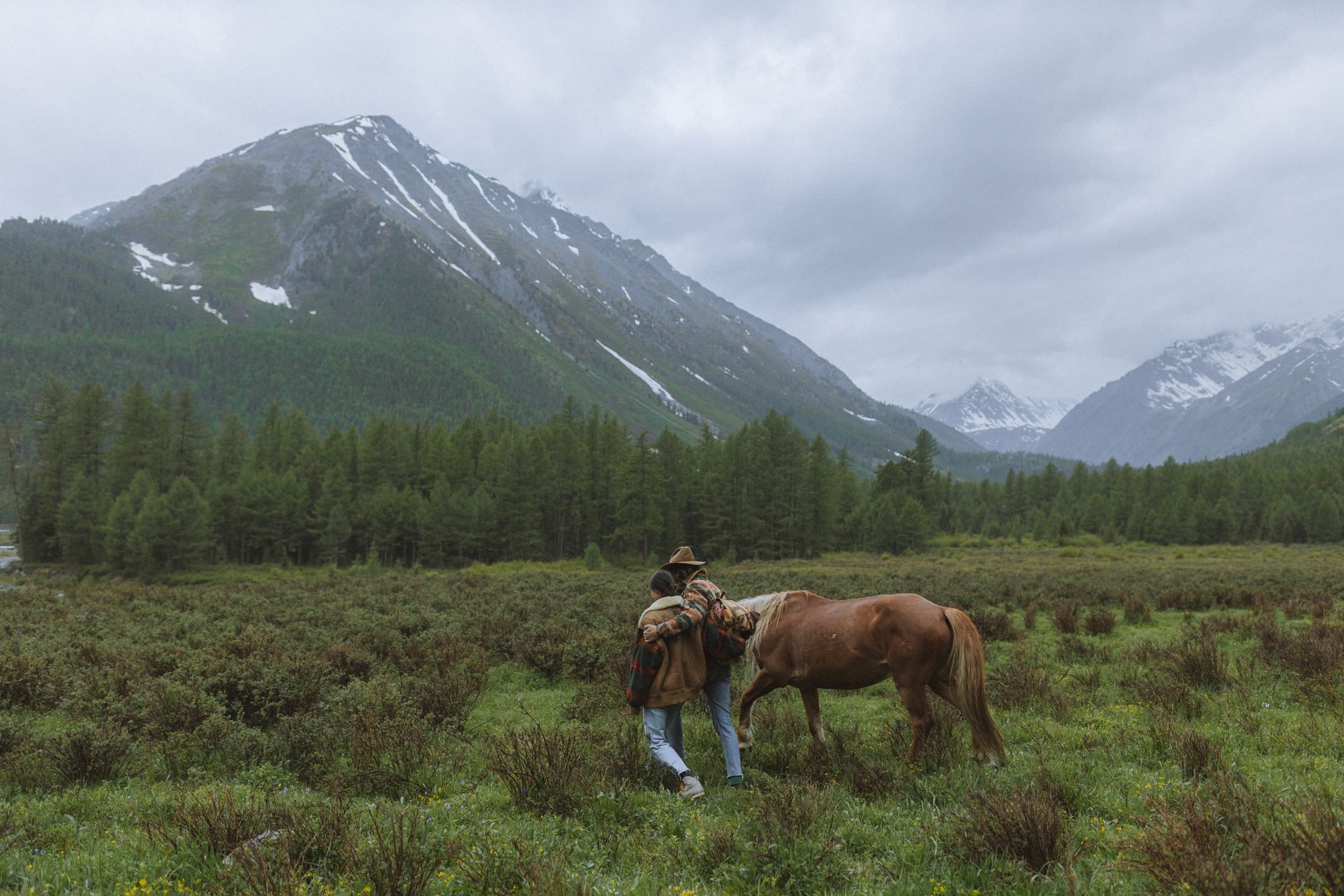 Horses crossing a high alpine meadow with snow-capped peaks in the background