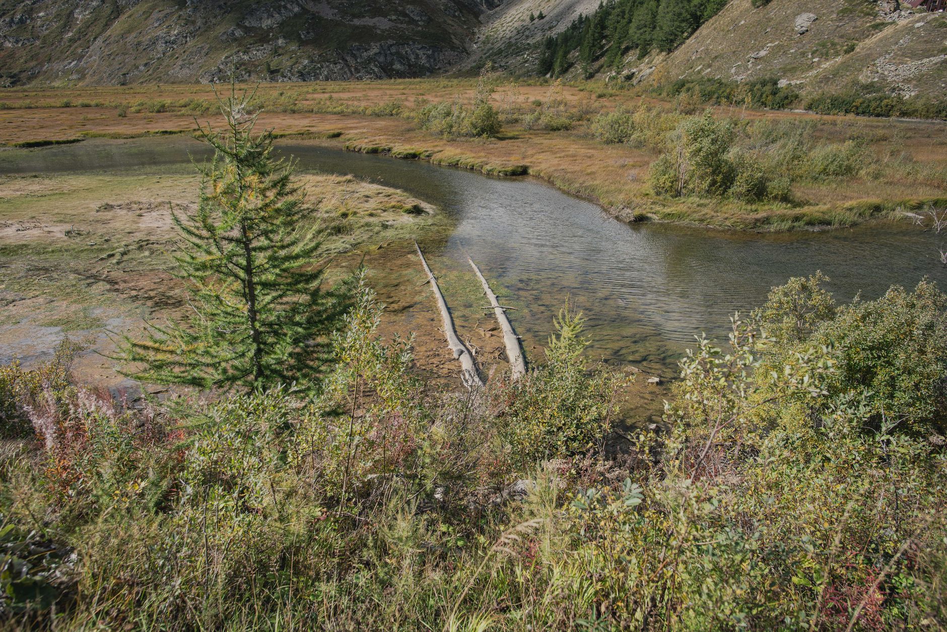 Winding river cutting through a broad green valley in Central Asia