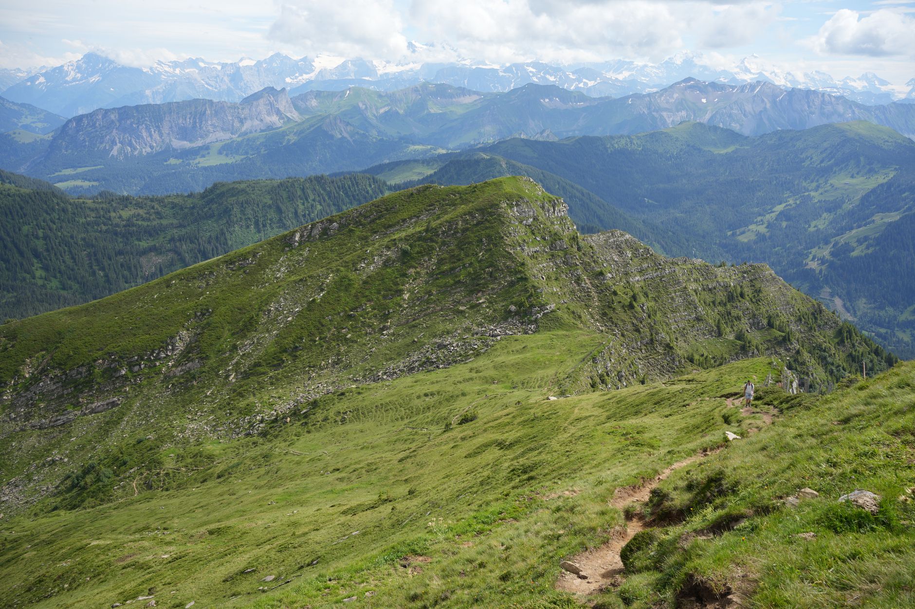 Hiker on a rocky mountain trail through forested terrain
