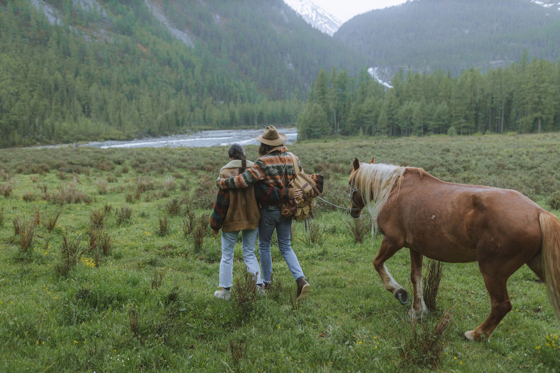 Horses being led along a mountain path through open highland pastures in the Caucasus