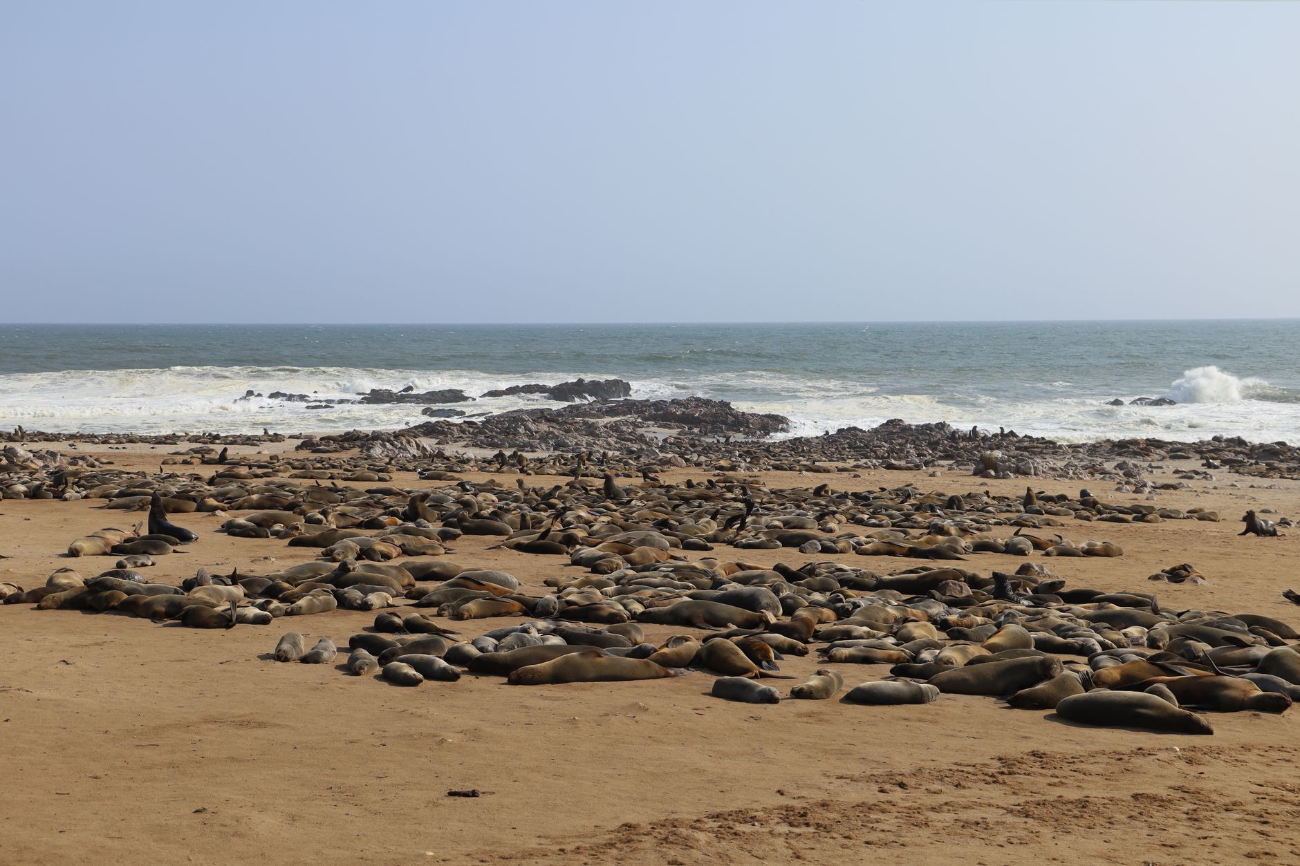 Fog rolling over a remote desert coastline at the Skeleton Coast National Park in Namibia