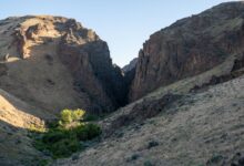 Twisted rock canyon walls in warm ochre tones, carved by natural geological forces
