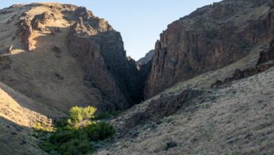 Twisted rock canyon walls in warm ochre tones, carved by natural geological forces