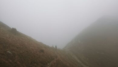 A narrow hiking trail disappearing into dense mist on a green mountain ridge