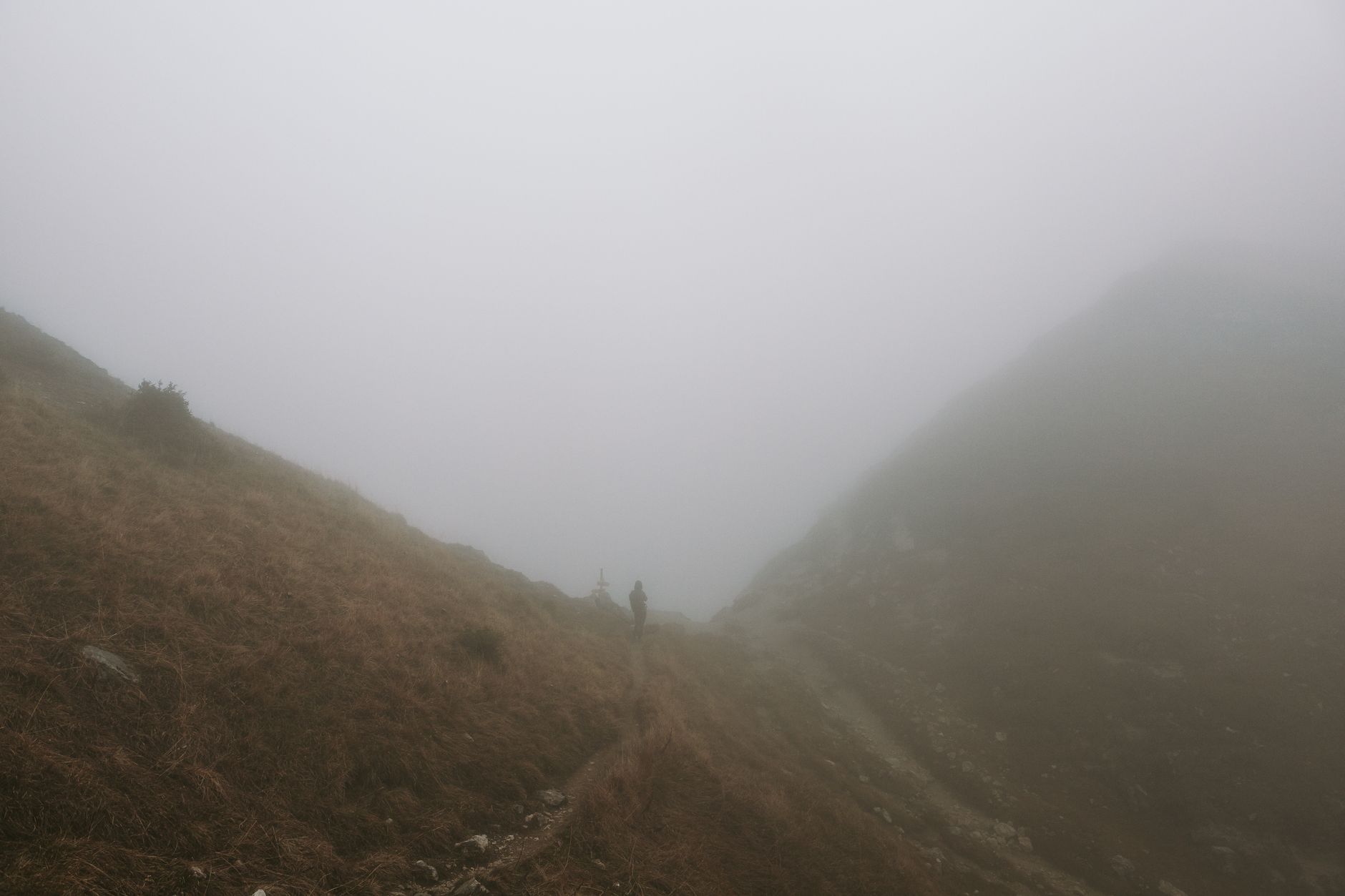 A narrow hiking trail disappearing into dense mist on a green mountain ridge