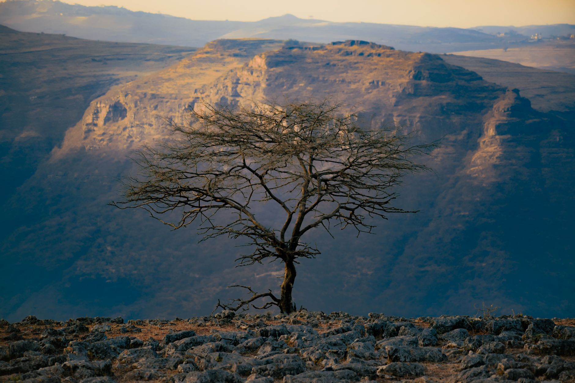 Wide arid savanna landscape in southern Ethiopia under a bright sky