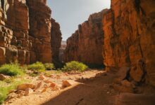 Eroded red rock formations and dry ravines in Tatacoa Desert, Colombia
