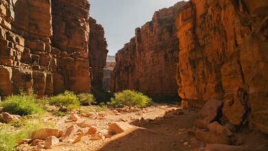 Eroded red rock formations and dry ravines in Tatacoa Desert, Colombia