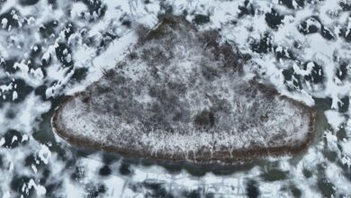 Aerial view of a small island surrounded by clear freshwater lake