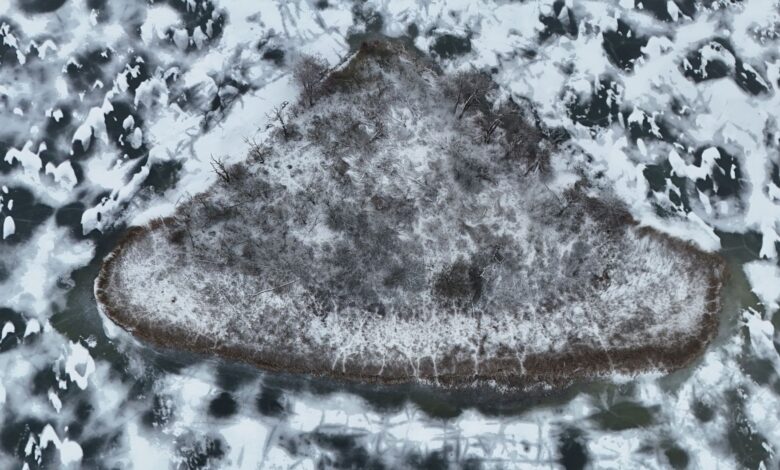 Aerial view of a small island surrounded by clear freshwater lake