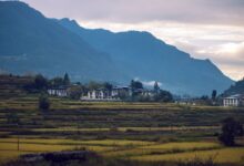 Forested mountain valley in Bhutan with traditional village buildings along a river