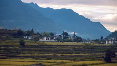 Forested mountain valley in Bhutan with traditional village buildings along a river