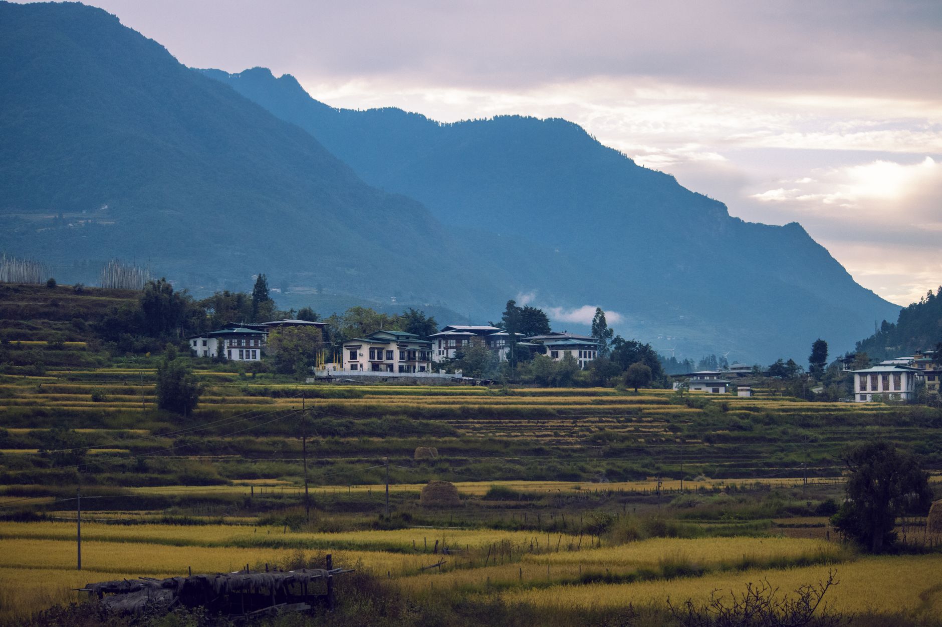 Forested mountain valley in Bhutan with traditional village buildings along a river