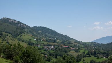A small village nestled among dense forested mountain slopes in the Caucasus region