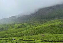 Lush green mountains shrouded in monsoon mist in Oman's Dhofar region during khareef season