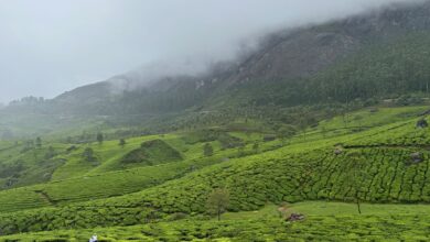 Lush green mountains shrouded in monsoon mist in Oman's Dhofar region during khareef season