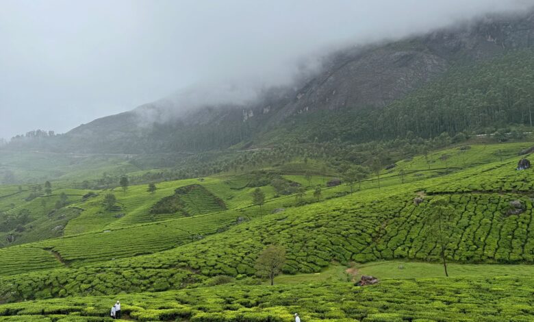 Lush green mountains shrouded in monsoon mist in Oman's Dhofar region during khareef season