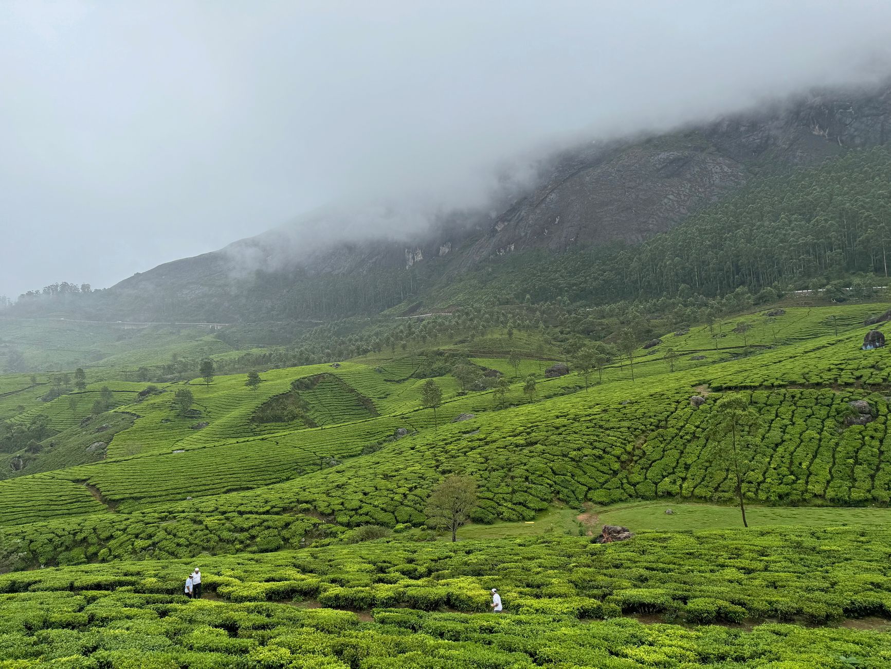 Lush green mountains shrouded in monsoon mist in Oman's Dhofar region during khareef season
