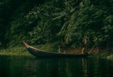 A dugout canoe navigating a narrow jungle river in lowland Papua New Guinea