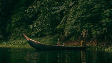 A dugout canoe navigating a narrow jungle river in lowland Papua New Guinea