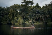 Two canoeists paddling a wide African river with wooded banks at golden hour