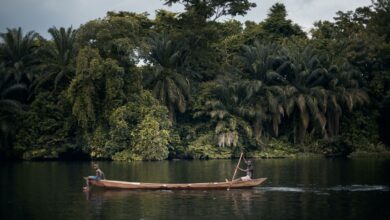 Two canoeists paddling a wide African river with wooded banks at golden hour