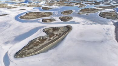 Aerial view of a white salt lake surrounded by volcanic rock in a desert landscape