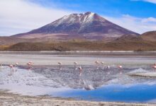 Nevado Sajama volcano rising above the Bolivian altiplano near Sajama Village