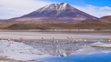 Nevado Sajama volcano rising above the Bolivian altiplano near Sajama Village