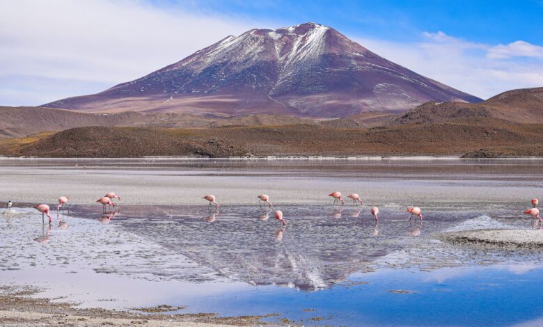Nevado Sajama volcano rising above the Bolivian altiplano near Sajama Village