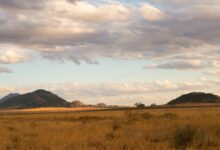 Wide open savanna floodplain in northern Botswana at golden hour