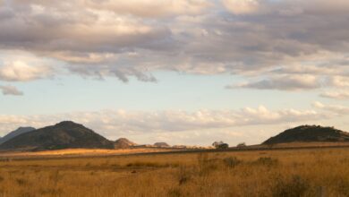Wide open savanna floodplain in northern Botswana at golden hour