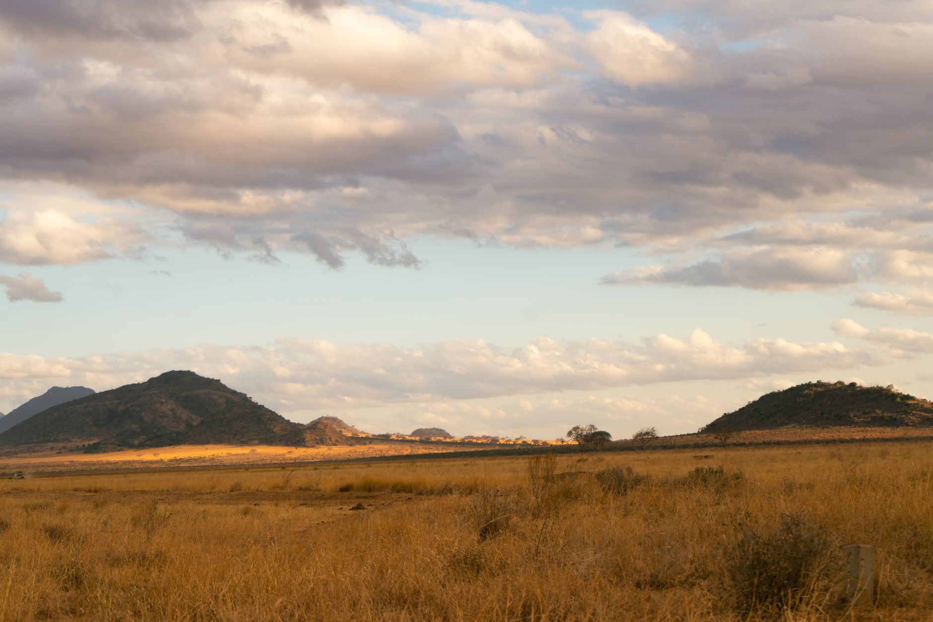 Wide open savanna floodplain in northern Botswana at golden hour