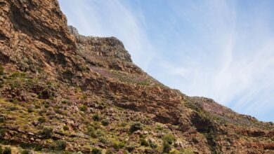 Vast afroalpine plateau landscape in the Bale Mountains of Ethiopia under open sky