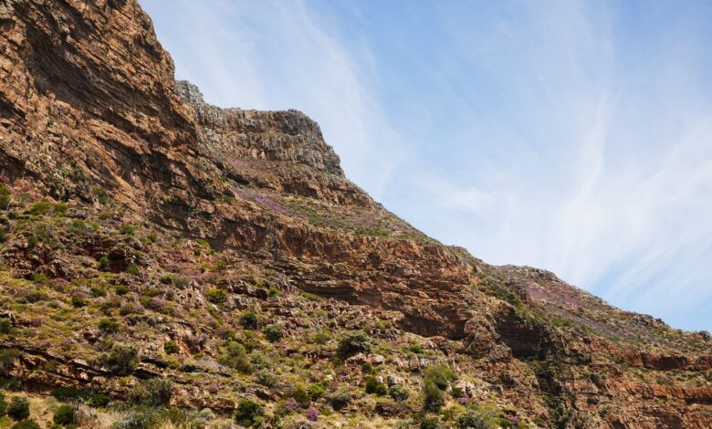 Vast afroalpine plateau landscape in the Bale Mountains of Ethiopia under open sky