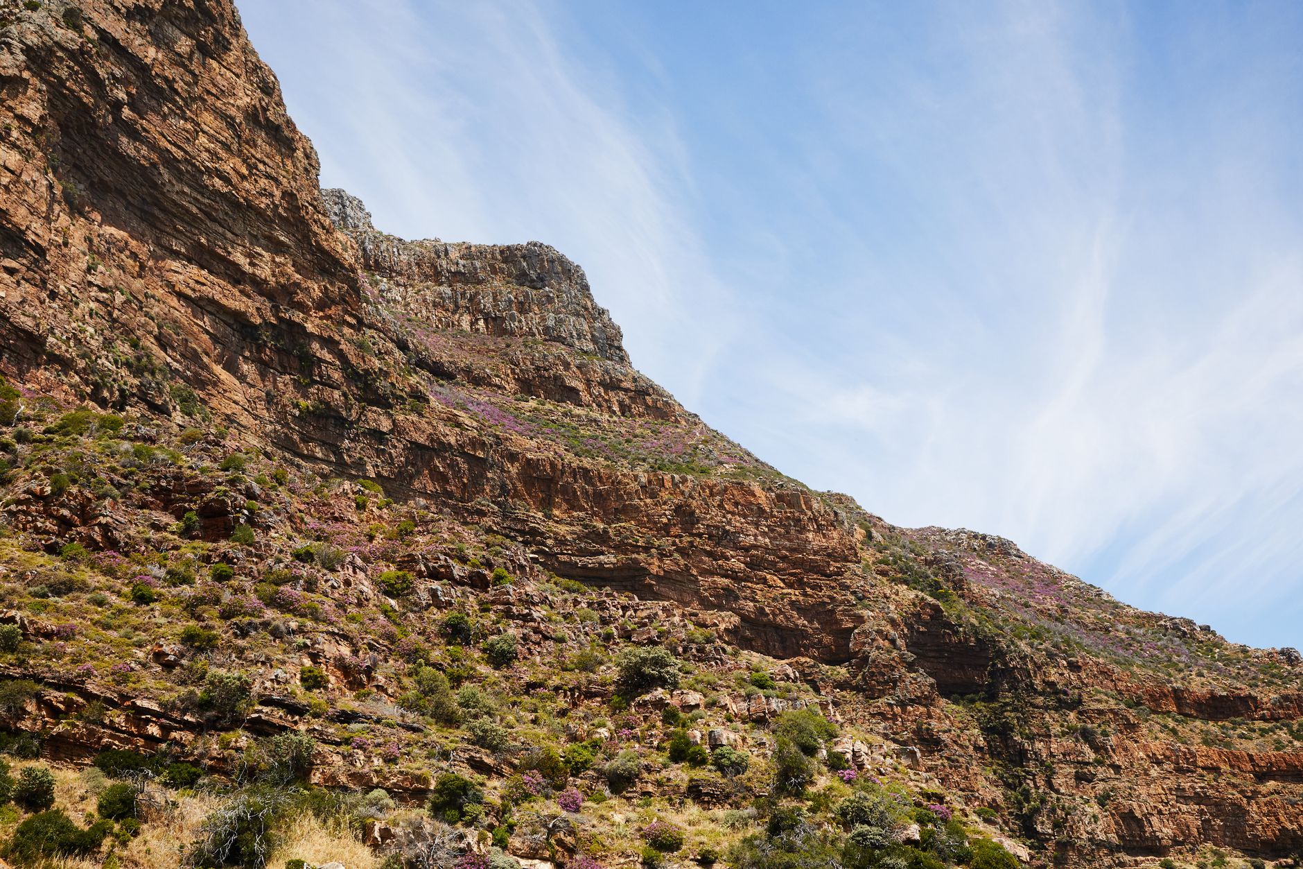 Vast afroalpine plateau landscape in the Bale Mountains of Ethiopia under open sky