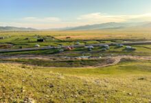 Wide open Mongolian steppe landscape with rolling grassland and clear sky
