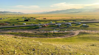 Wide open Mongolian steppe landscape with rolling grassland and clear sky