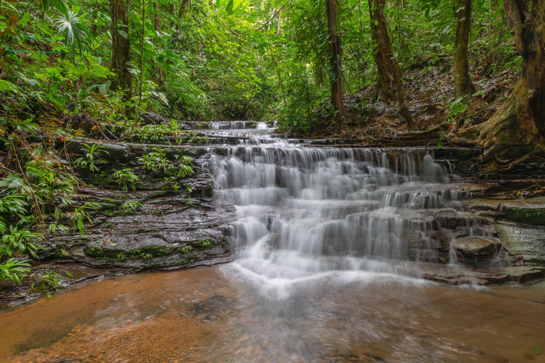 Trekker crossing a shallow jungle river on a forest trail