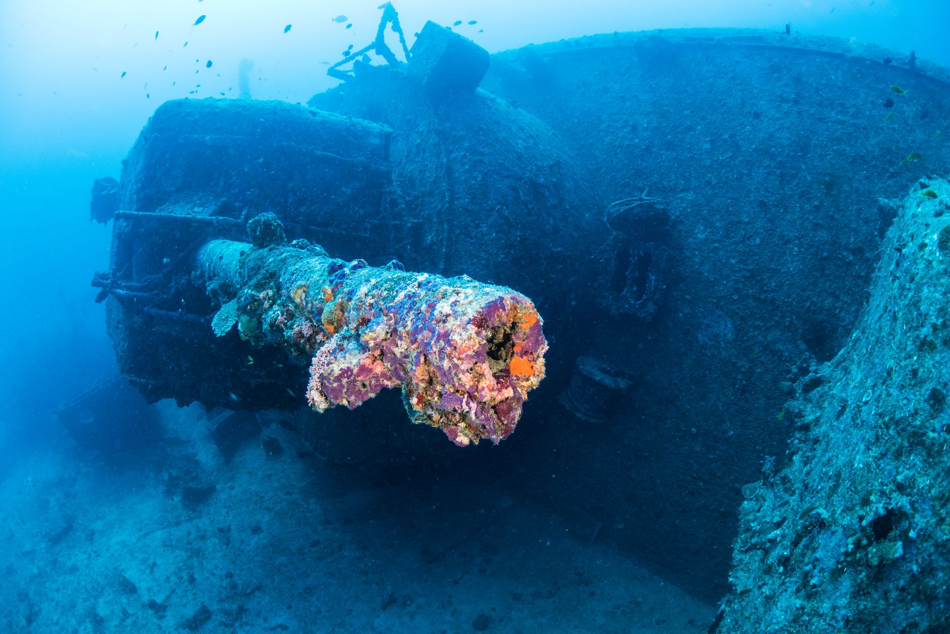Scuba diver exploring a coral-encrusted shipwreck in clear tropical water