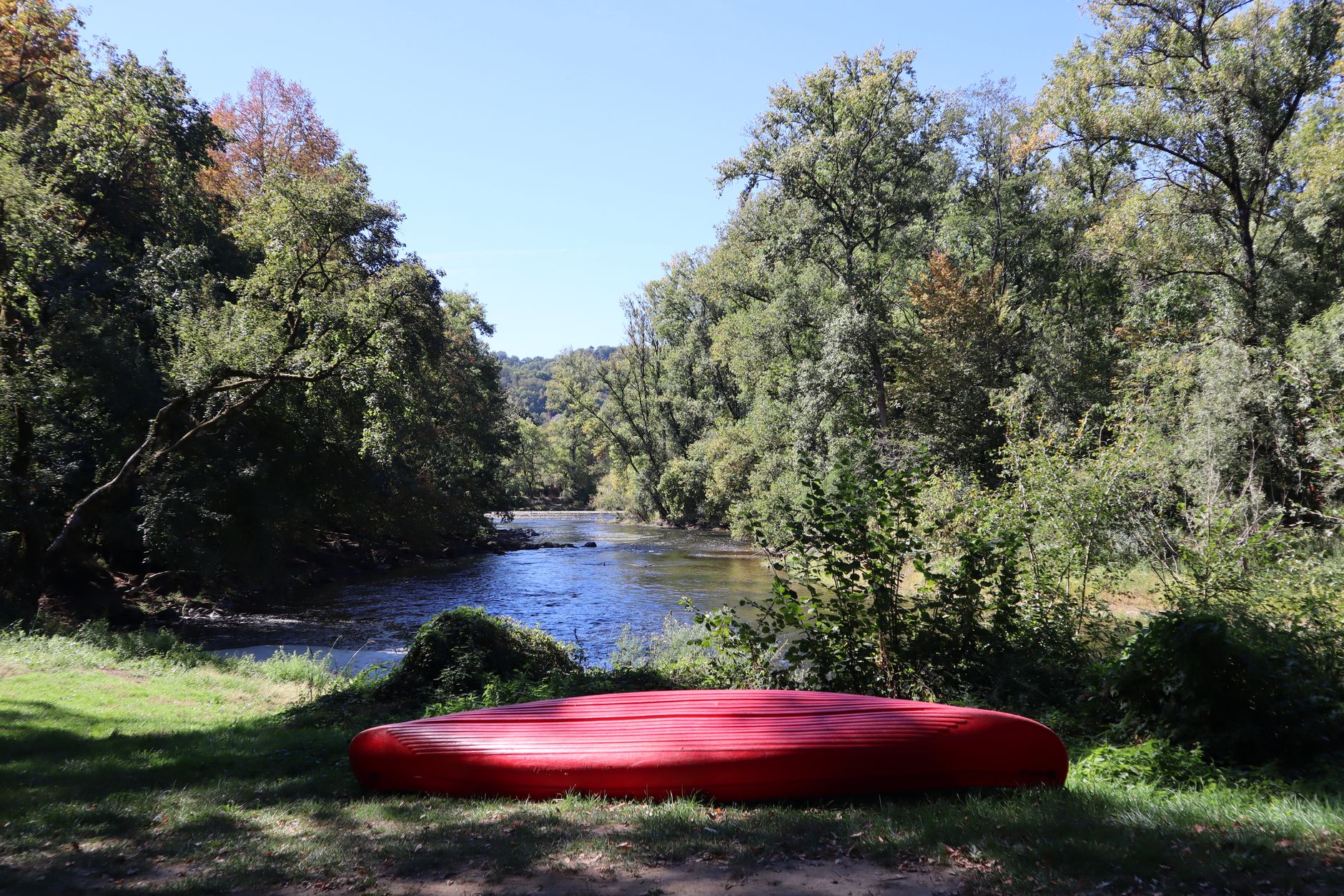 Small motorized canoe navigating a forested river corridor in Central Africa