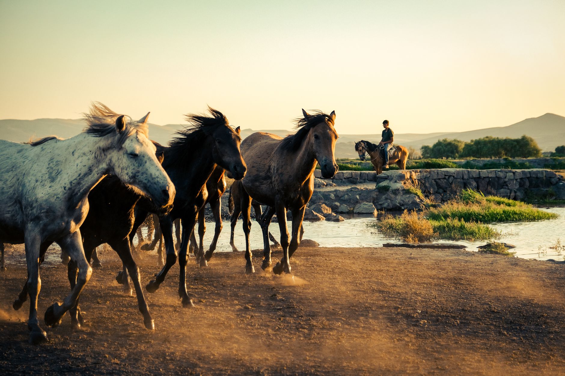 Riders on horseback moving through open savanna grassland during an African safari