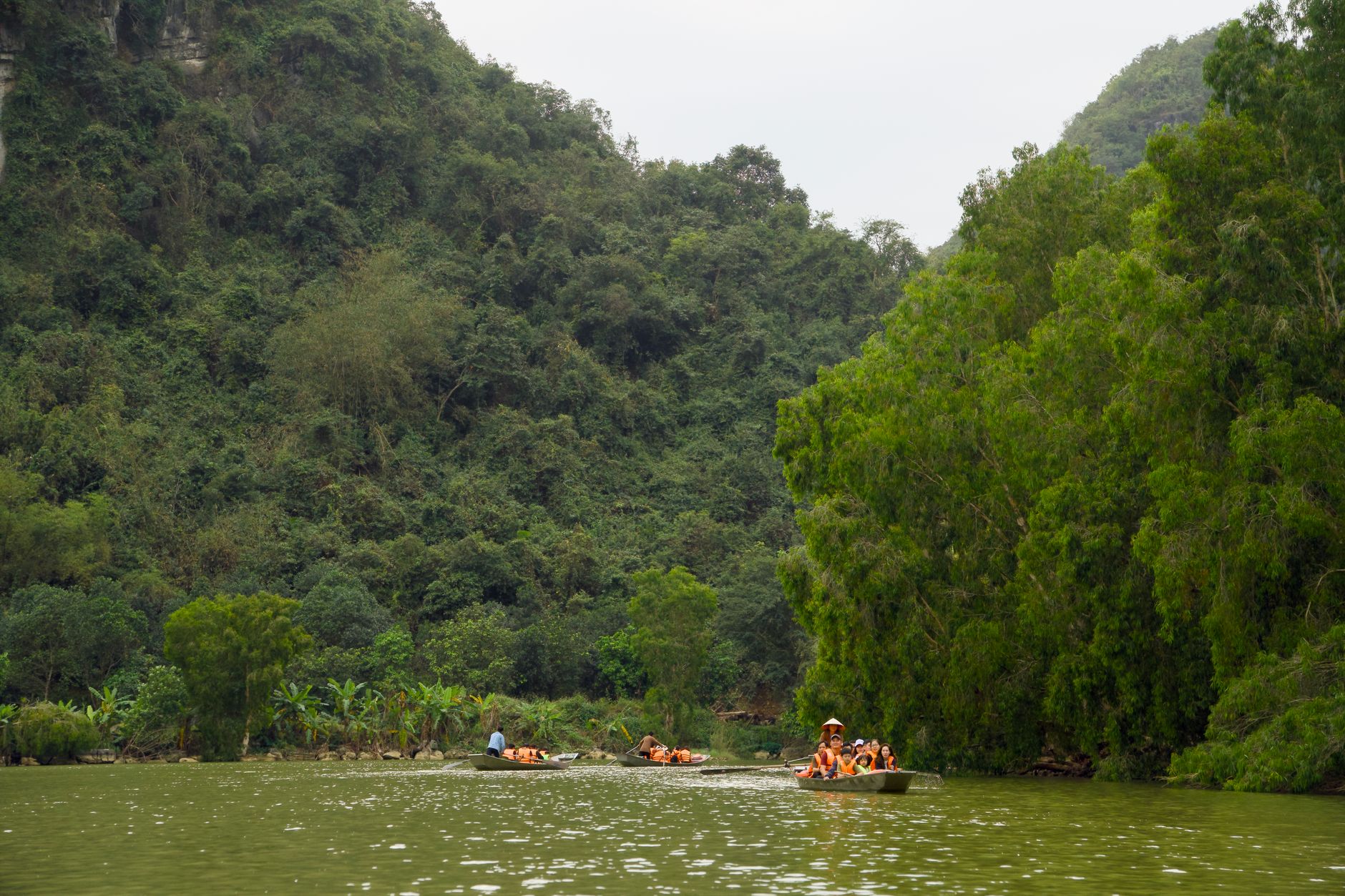 Lush jungle river winding through dense green vegetation in central Vietnam