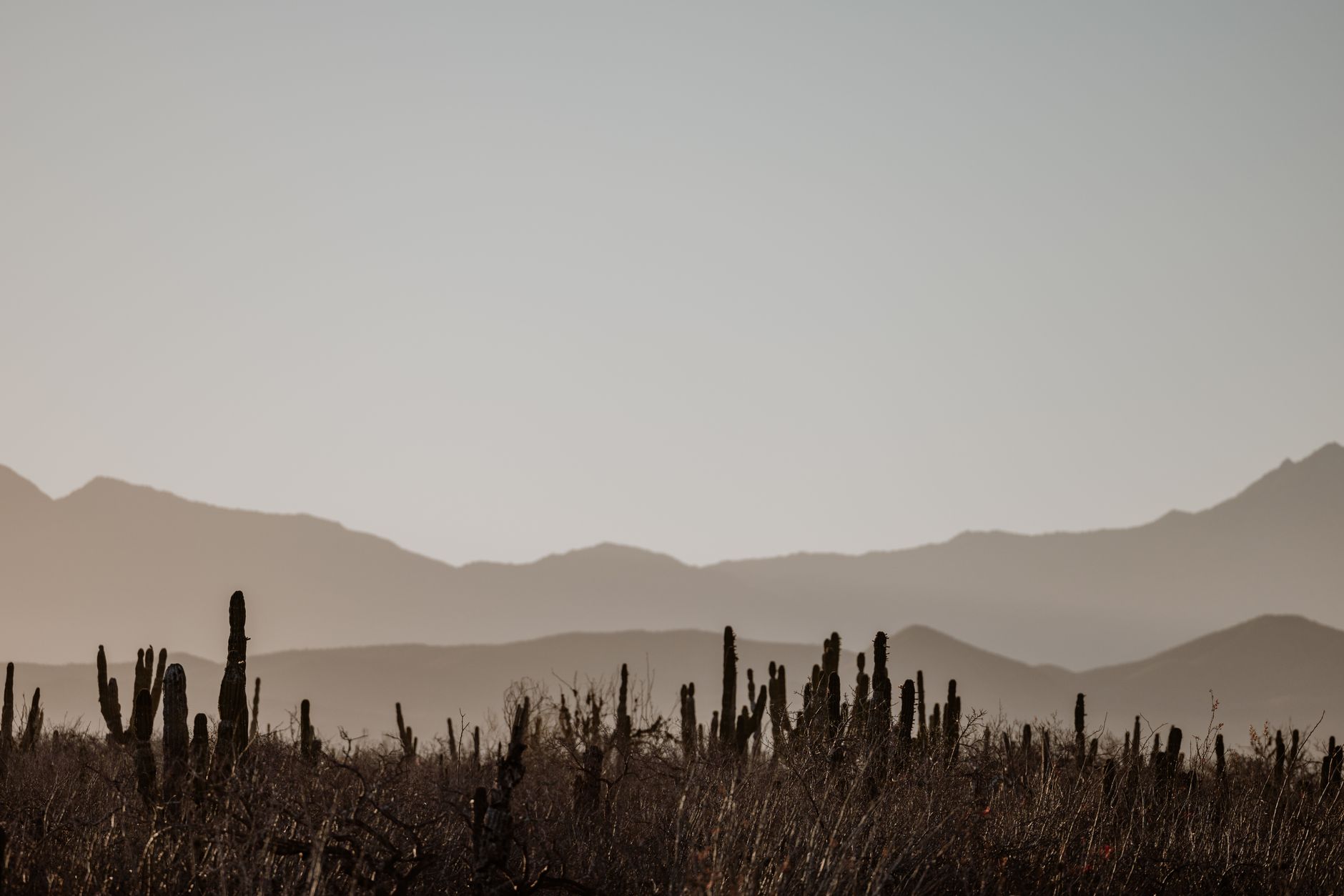 Pale grey lunar-looking rock formations in the Los Hoyos sector of Tatacoa Desert