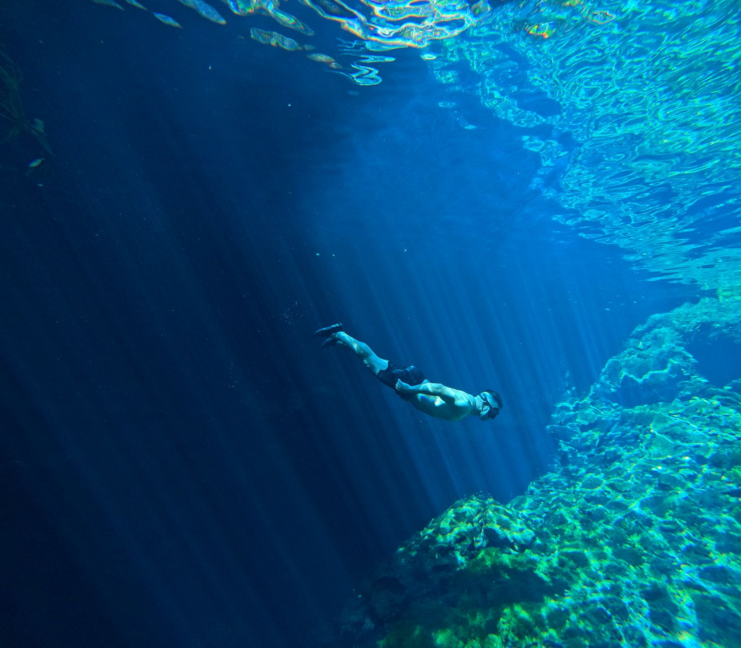 Snorkeler exploring clear freshwater lake with colorful fish visible below