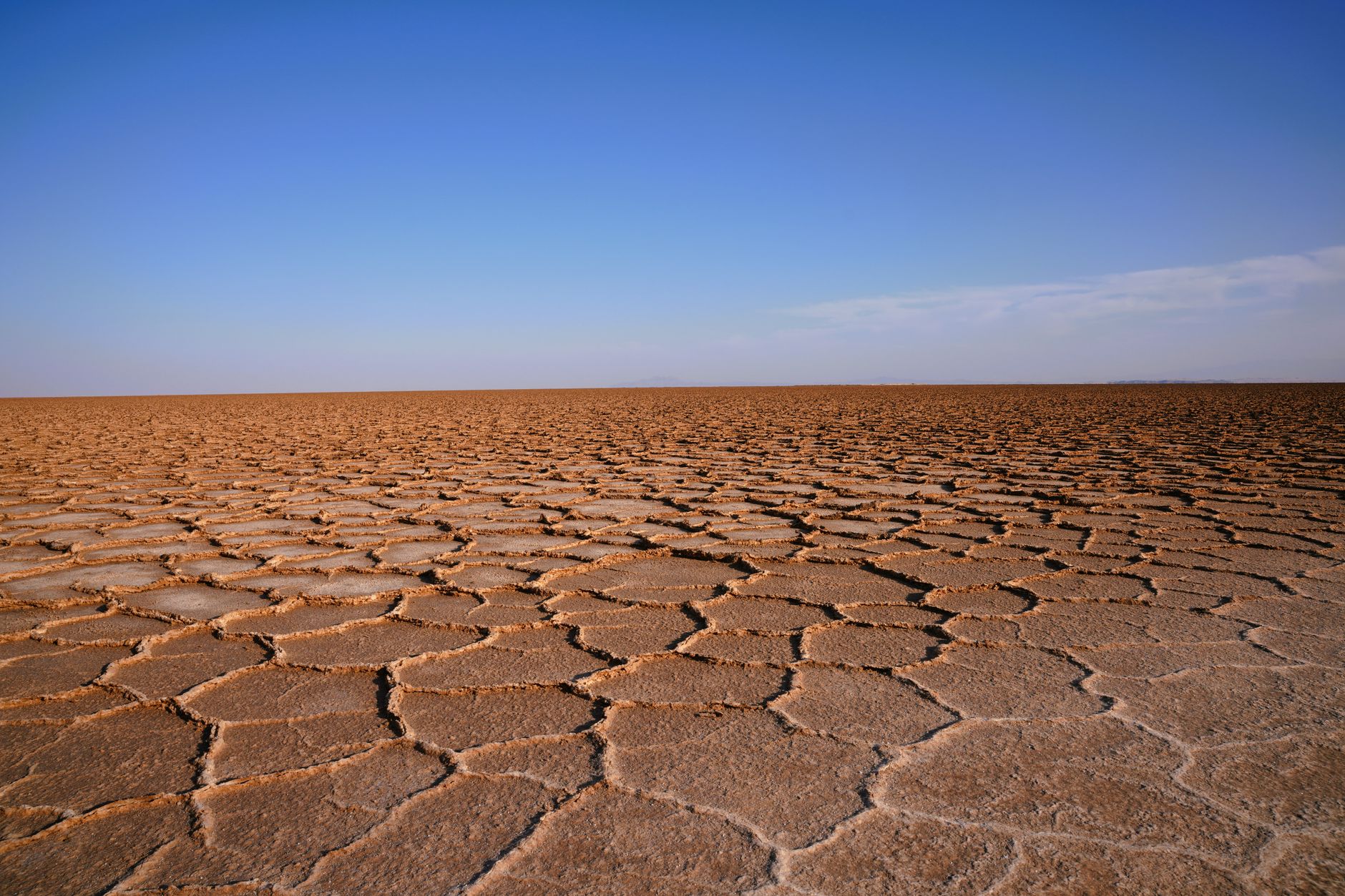 Vast white salt flat stretching to the horizon under intense desert sunlight