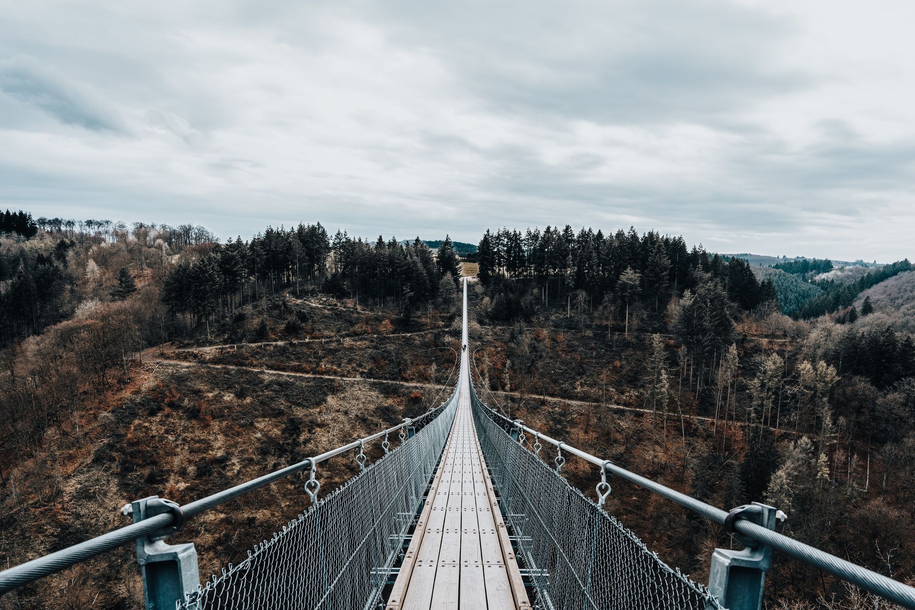 Wooden suspension bridge walkway stretching through tall forest trees